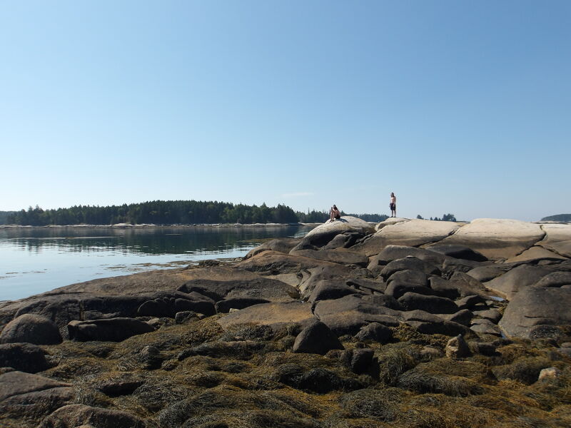 The image shows a coastal landscape on a sunny day. In the foreground, there are dark rocks and seaweed. In the background, there is a calm sea, a forested island, and a clear blue sky. Two people are standing on the rocks. The overall scene is peaceful and serene.